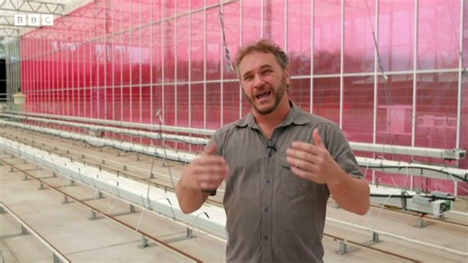 BBC Tech Now - Agritech Innovation by LLEAF | Hawkesbury Institute for the Environment