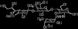 Sialyl Lewis X - Alchetron, The Free Social Encyclopedia