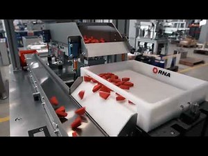 FlexType P Demo RNA logo - RNA Automation Ltd