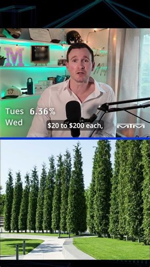 Arborvitae Trees / Mortgage Rates