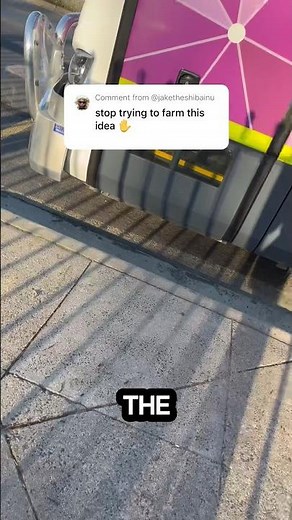 How to catch the bus 🚎 #tutorial #transport #australia #travel #school ￼