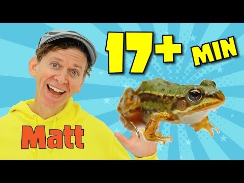 Animals and More | What Do You See? Song | My First 100 Words Songs