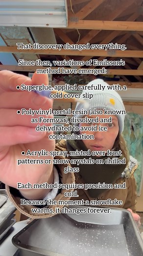 Some snowflakes melt before I can even raise my hand. Others drift slowly enough for me to catch their whole pattern, every branching arm, every crystal of ice that grew in a cloud miles above my head. These were born in freezing air, tumbled for minutes, maybe hours, before finding its way into my hands. Now it will outlast every winter to come. When I say “preserved snowflake,” I mean the real snow crystal—unchanged in shape, its original geometry intact—captured before it ever had the chance 