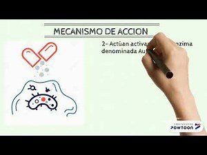 AMPICILINA SULBACTAM Corrección