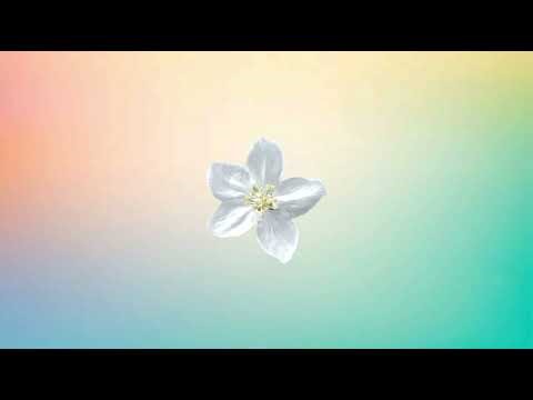 Christina Perri - A Thousand Years (Karaoke Version)