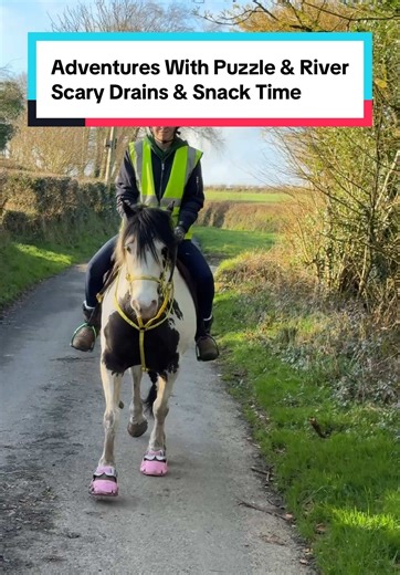 Exploring Adventures with Puzzle & River: Equestrian Fun