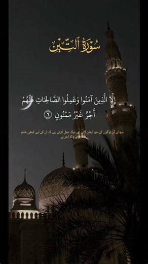 Surat_ut_Teen full with urdo translation 🤍#youtubeshorts #quran #viral #surah