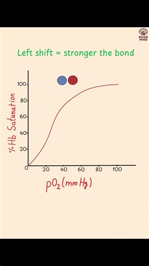 Oxygen Haemoglobin Dissociation Curve | Left Shift vs Right Shift #class11biology #neetbiology