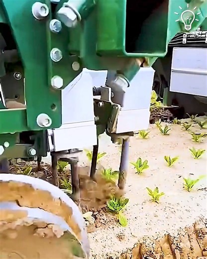 1.1K views | The best techniques in the farming world 六‍ | NM Ancient | Facebook