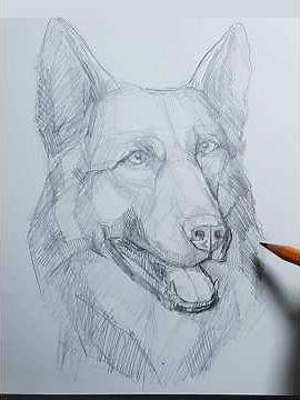How to Draw a German Shepherd Dog Realistically 🐶 | Easy Pencil Drawing for Beginners