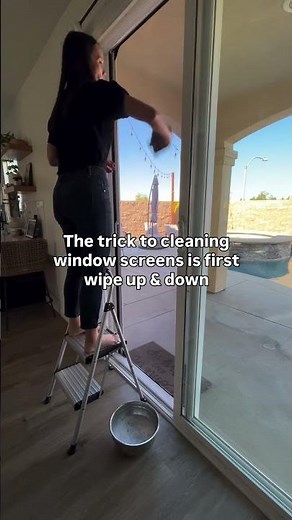 How to clean window screens WITHOUT removing them