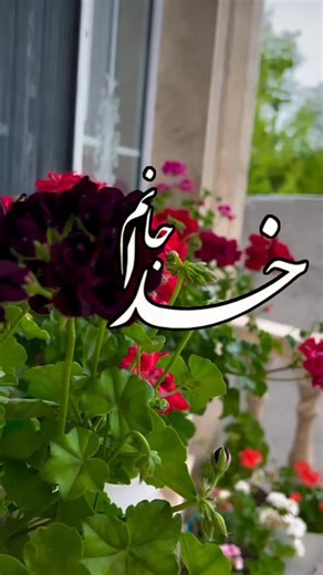 ‎نورا نور‎ on Instagram