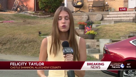 Man facing charges in connection to fire at Castle Shannon home | 1 killed, 1 injured