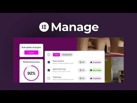 Elementor just released their Site Management Overview Tool!