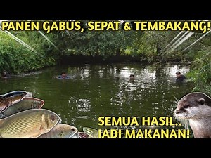 PASANG JARING IKAN DAN SESER DI KOLAM TERBENGKALAI PART2