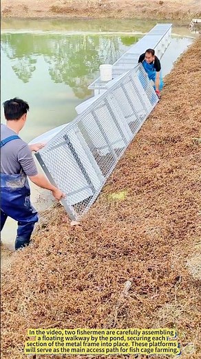 Building a Floating Farm: How Fish Farmers Assemble Cage Rafts.