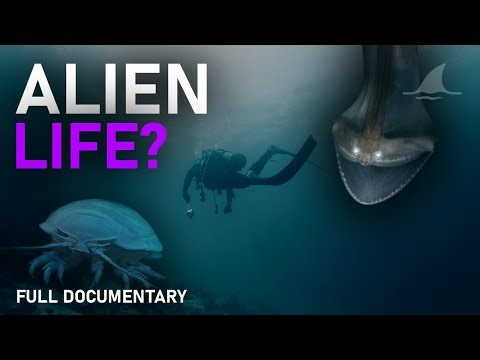 Ocean Creatures That Look Like Aliens | Deep Sea Documentary