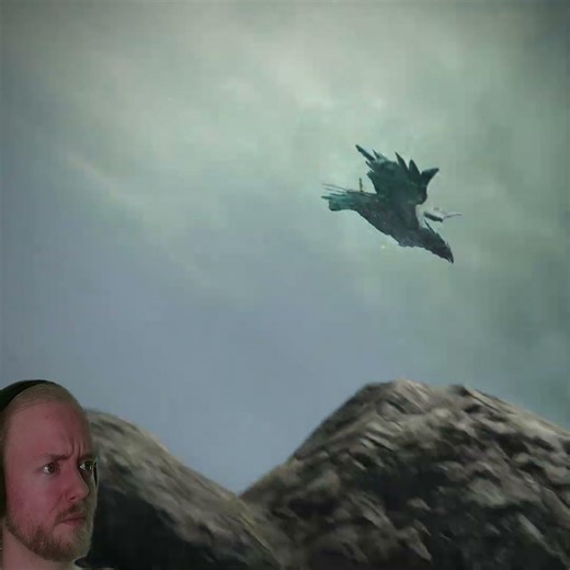 Soaring with the Eagles - just like LotR #eldenring #eldenringnightreign