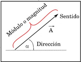 Vectores y sus extremos