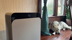 2.7K views | Here are 10 simple ways to keep your allergies at bay this spring season. | CNET | Facebook