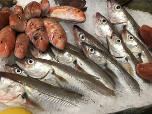 Global Seafood Market to Reach US $162bn by 2021 | Seafood