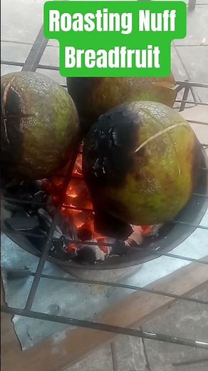 How to Successfully Roast nuff Breadfruit all at once #roastedbreadfruit #viralvideos