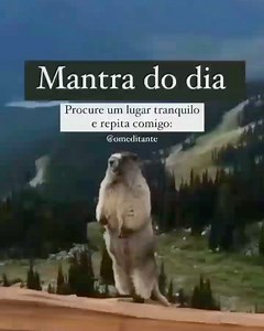 222K views · 2.2K reactions | Deve resolver. | Cris Pàz | Facebook