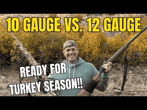 10 Gauge vs 12 Gauge Turkey Shot