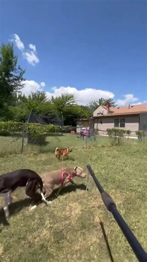 Kondisi terkini musholas PONPES Al Khoziny Sidoarjo ambruk saat salat ashar#jtvjember #evakuasi #sidoarjo #fyp