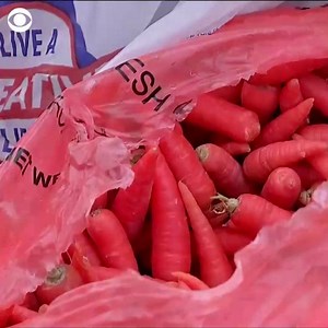 7K views · 169 reactions | WATCH: School districts in the greater Houston area have teamed up with the Houston Food Bank to make food available to those who rely on school meals; volunteers distributed household necessities, including eggs and fruit, as families lined up by car. https://cbsn.ws/2UbE2fx | CBS Evening News | Facebook