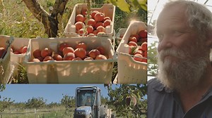 2.8K views · 45 reactions | Azure founder David Stelzer shares what drives the mission of Azure Standard. He's talking with Emmy award-winning actor Jonathan Jackson, who recently visited Azure Farm in Oregon. | Azure Standard | Facebook