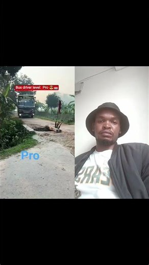 Pro drive #viral #shorts #driver #duet