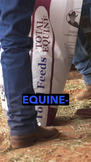 How Total Equine Feed Reduces Vet Bills and Improves Horse Health! #totalfeeds