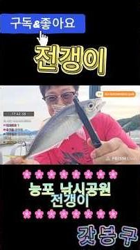 생활낚시 믿음의 포인트 능포 전갱이 씨알 미쳤네 #거제도 #능포 #전갱이 #선상낚시 #한치 #오모리그 #생활낚시 #방파제낚시 #작곡