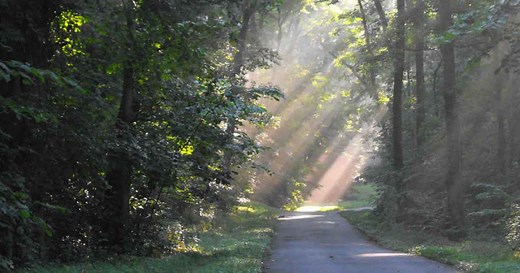 Meeman-Shelby Forest State Park