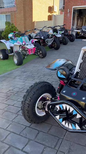 Twin Yamaha Banshee Custom Build Review