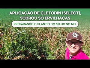 Após aplicação de Clethodim-Select, sobrou ervilhacas. Preparando o Plantio do Milho no MIX (v.122)