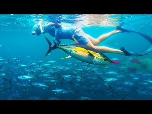 12,000 Miles From Home to Spear THIS Fish!