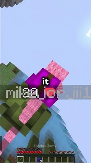 BEST MINECRAFT SERVER TO MAKE YOUR EXPERIENCE BETTER! #donutsmp #minecraftserver