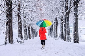 Calgary's weather forecast for November 19: Mainly cloudy with sun breaks - The Weather Network