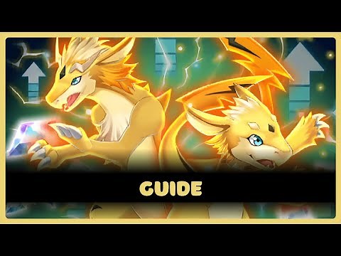 Training Dojo Stage 7 Gameplay Guide | Evertale