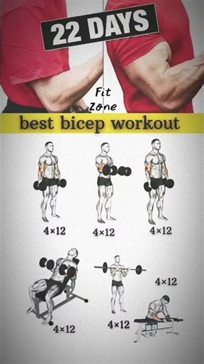 Your Biceps Are Small for a Reason — Fix It Today 📊💥#bicepworkout #biceps #armday #gymmotivation