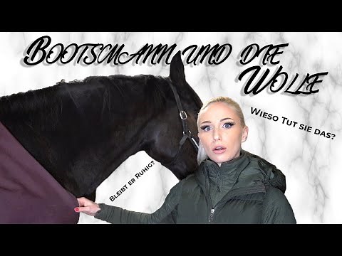 Bootsmann geht's an die Wolle | Just Lucy
