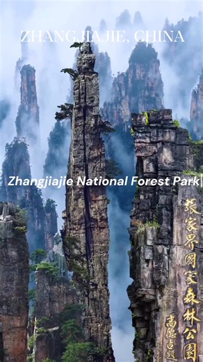 Ever wondered what it feels like to walk inside a movie? Zhangjiajie is a land of floating mountains, glass skywalks, misty peaks, and ancient forests that take your breath away ✨🏞️ From the Bailong Elevator soaring into the clouds to panoramic trails in Zhangjiajie National Forest Park, every moment feels unreal. Ready to turn your travel dreams into reality? 📩 Contact us for custom Zhangjiajie itineraries, hotels, tickets & private guides. Adventure starts here. ✈️🌿 WhatsApp: 44 7908 768904
