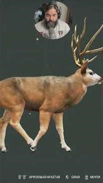 cacei um diamante em um mapa abandonado