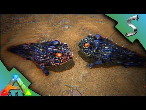 BEELZEBUFO BREEDING! BABY RAISING & IMPRINTING! AMPHIBIAN BREEDING! - Ark: Survival Evolved [S3E78]