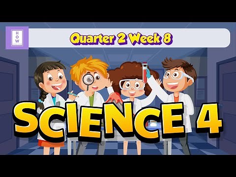 SCIENCE | Grade 4 | Quarter 2 Week 8