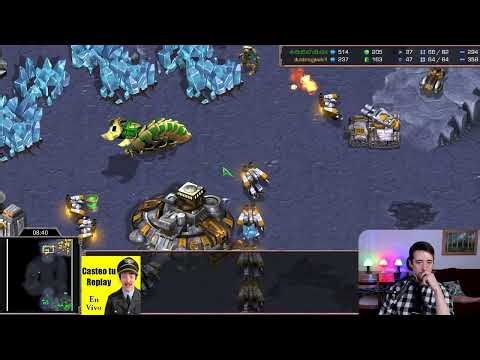 La Dama Capibara Está de Observer