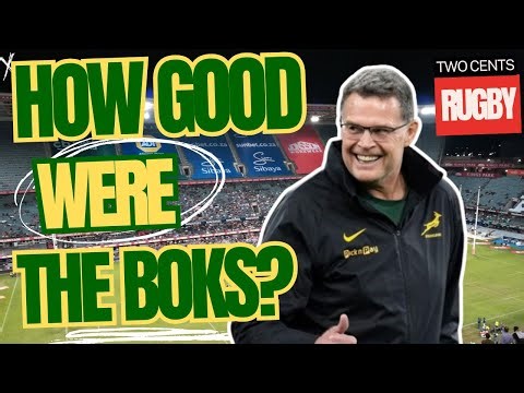 Springboks Season Review 2025 | Almost Perfect Year?