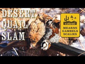 Desert QUAIL SLAM! Hunting Mearns, Gambels and Scaled Quail
